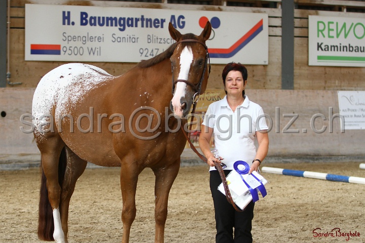 24-ApHC HIH_112.jpg